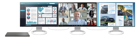 Eizo FlexScan EV2495 Black